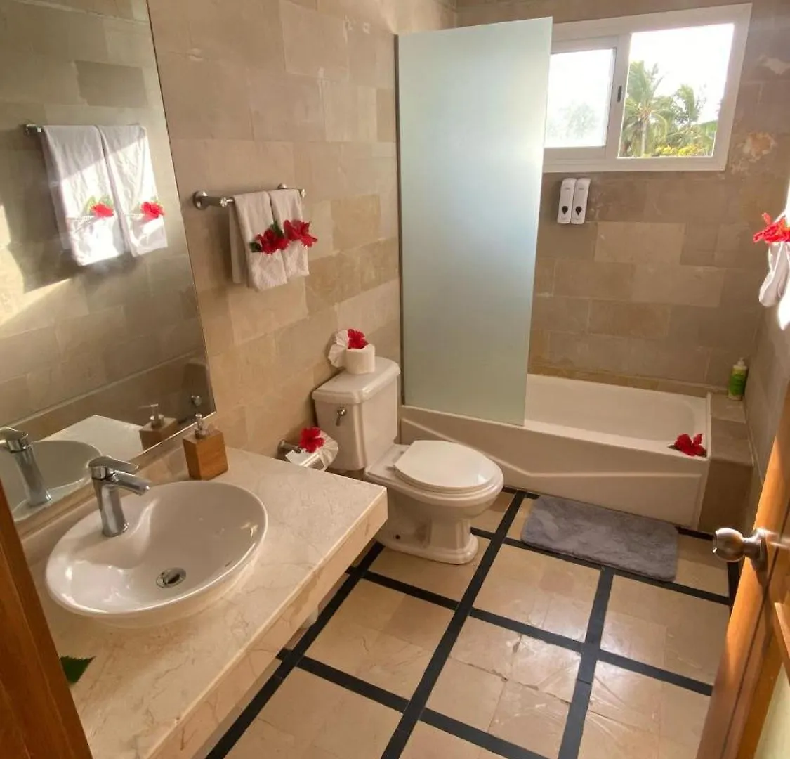 Apartment Penthouse With Rooftop And Pool Beach Access Punta Cana